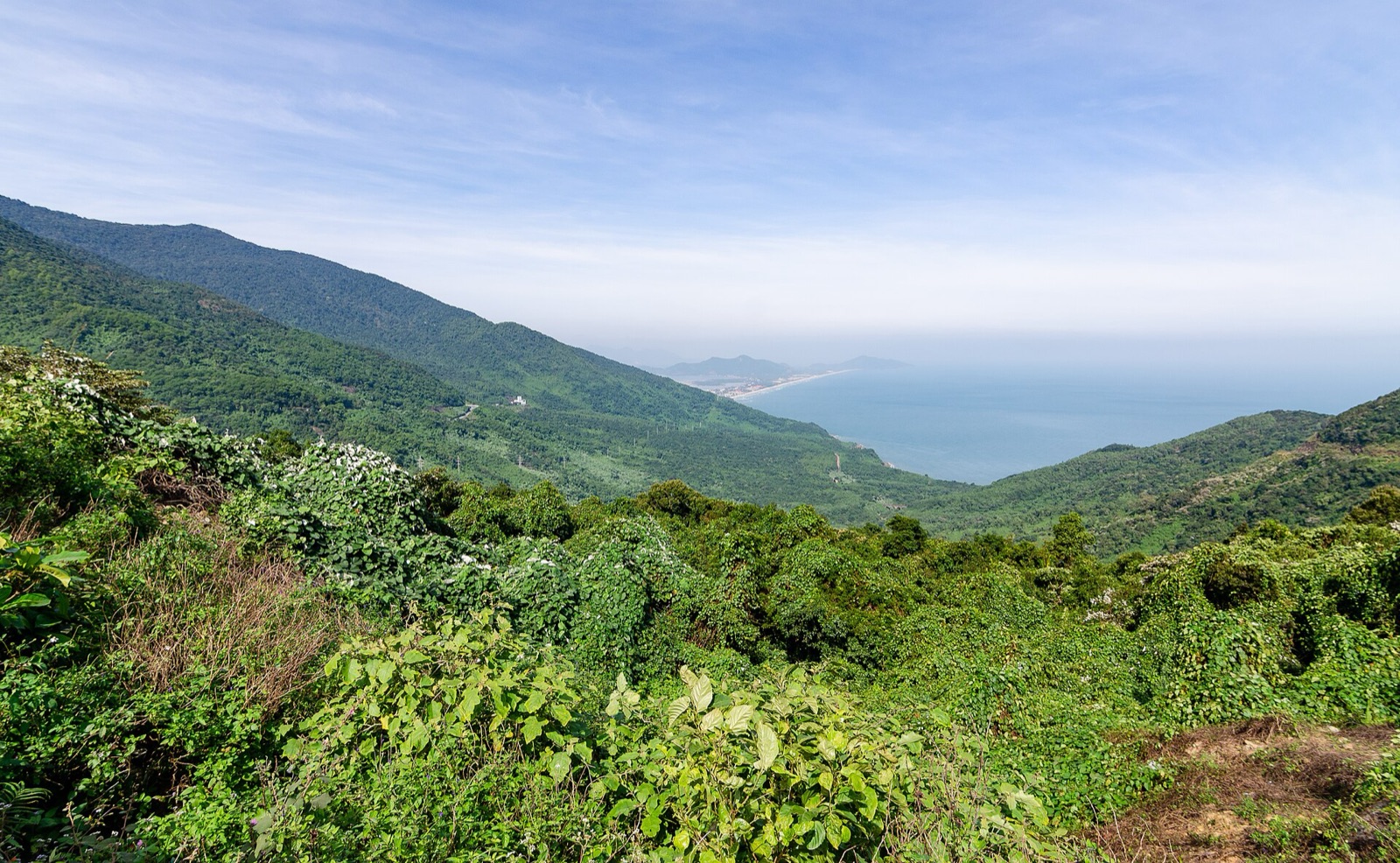 Steep forested mountain slopes descending toward the sea under a pale blue sky