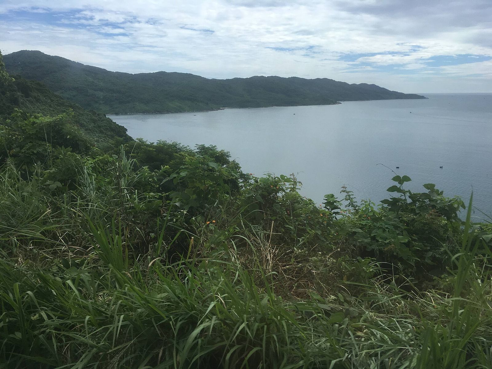 Green hills of the Hai Van Peninsula sloping down to the calm water of Da Nang Bay