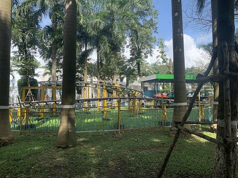 Palm trees and a small roller-coaster track behind a low fence on a grassy lawn in March 29 Park