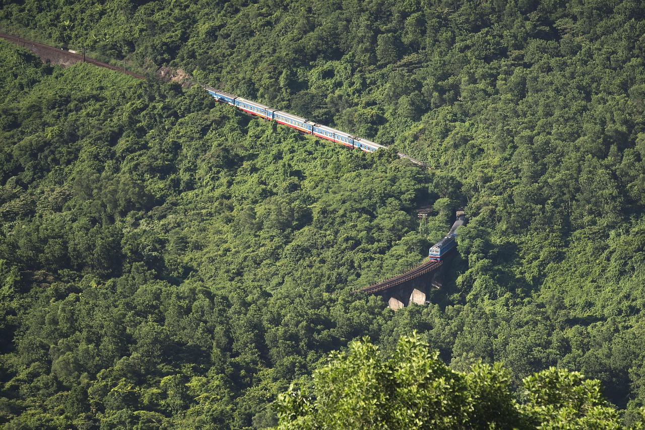 A passenger train and a rail bridge among dense green forest on a mountain slope