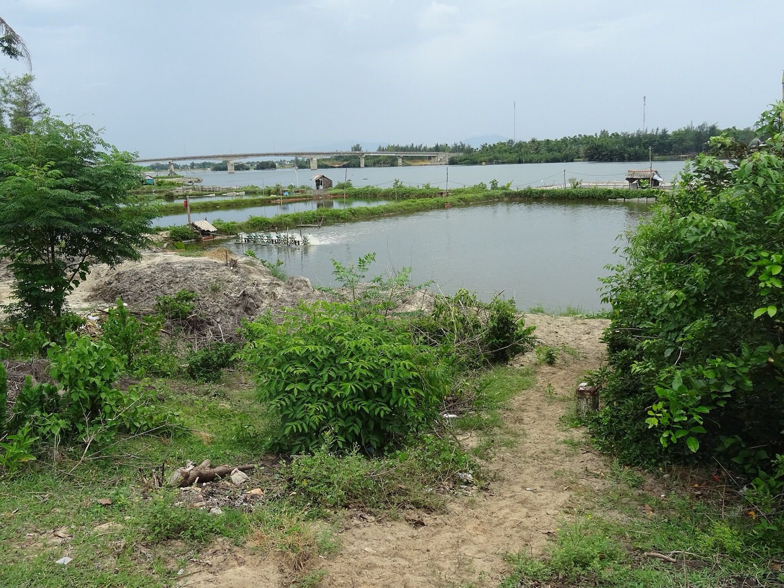 A concrete road bridge crossing the Truong Giang River with green banks and trees in the foreground